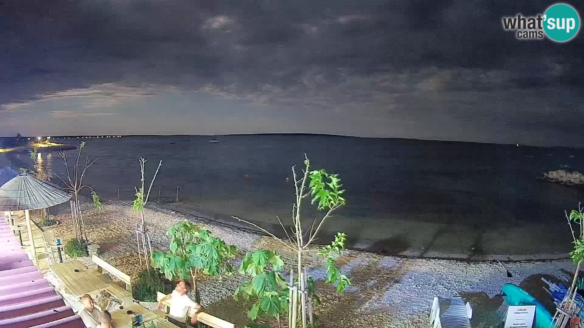 Spletna kamera Plaža Gajac – Pag – Hrvaška