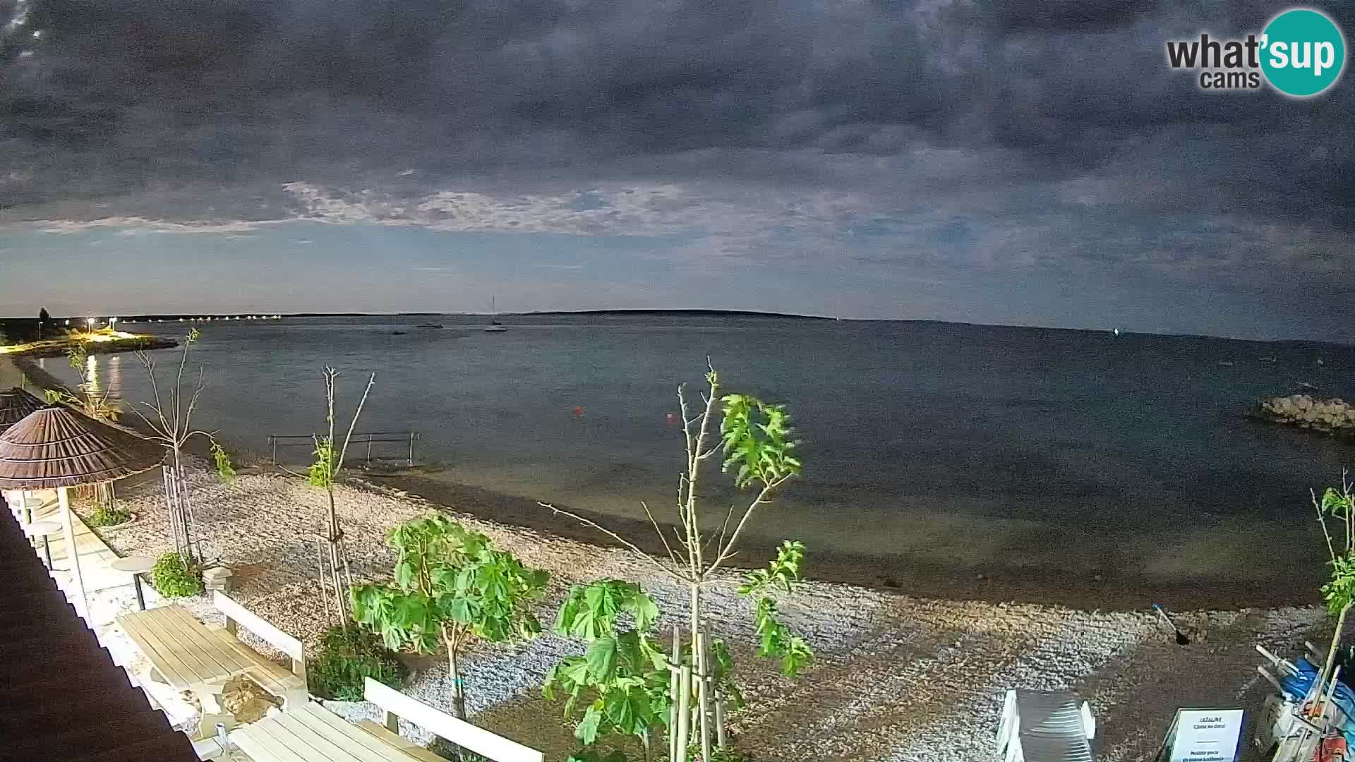 Live Webcam Gajac beach – Pag