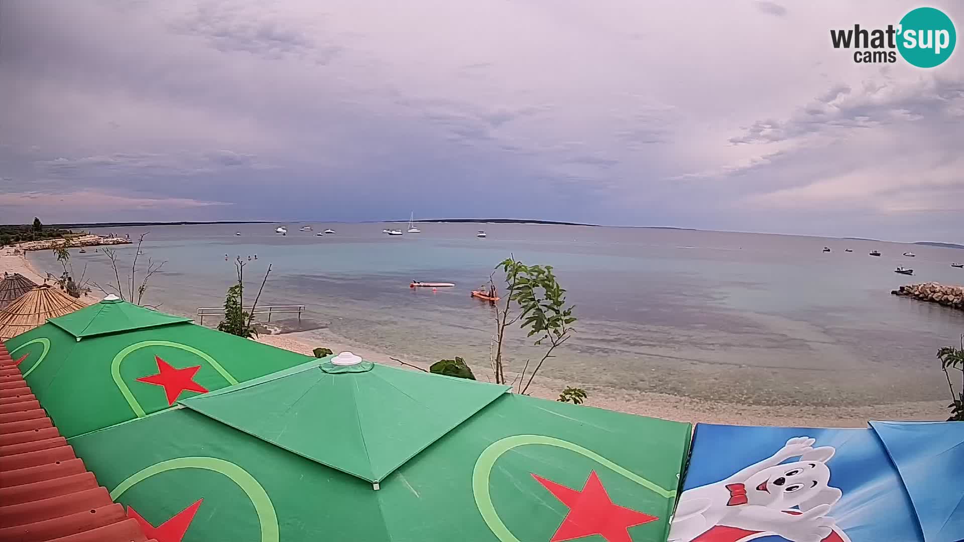 Webcam Strand in Gajac – Pag – Kroatien