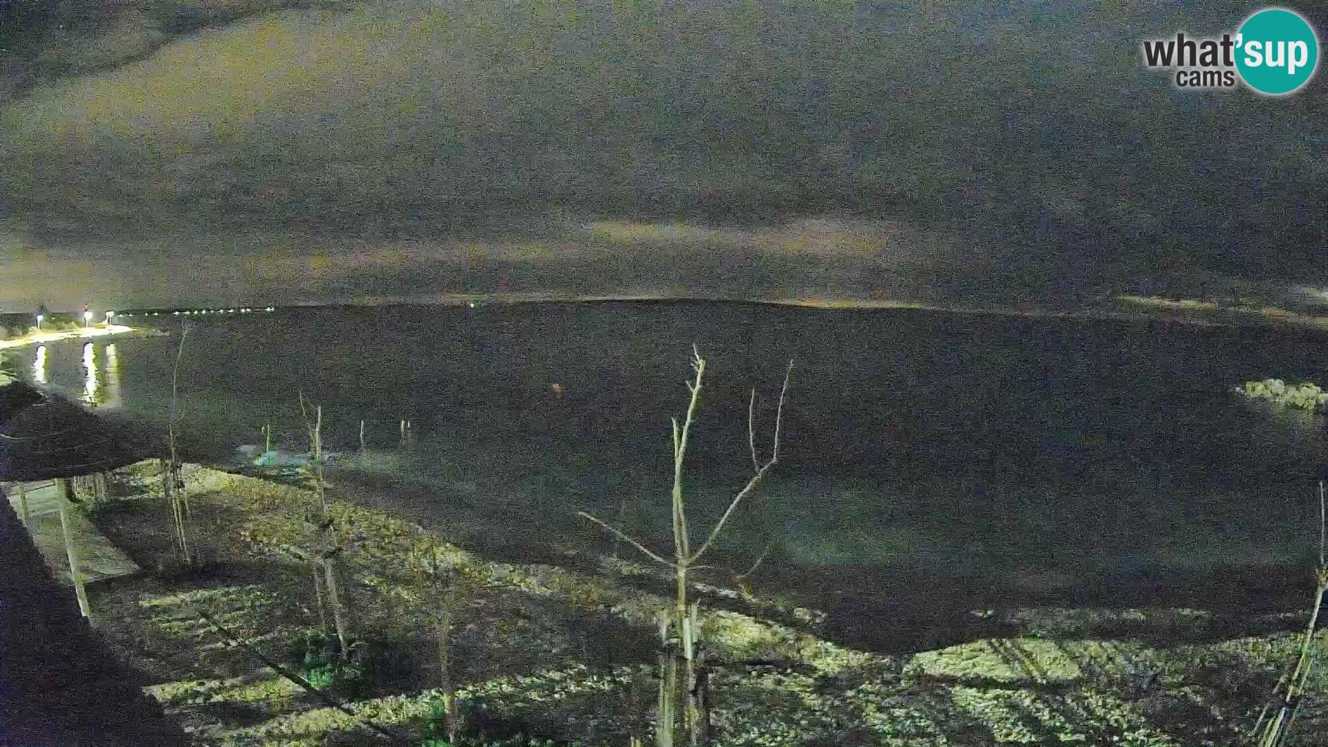 Plage in Gajac – Pag