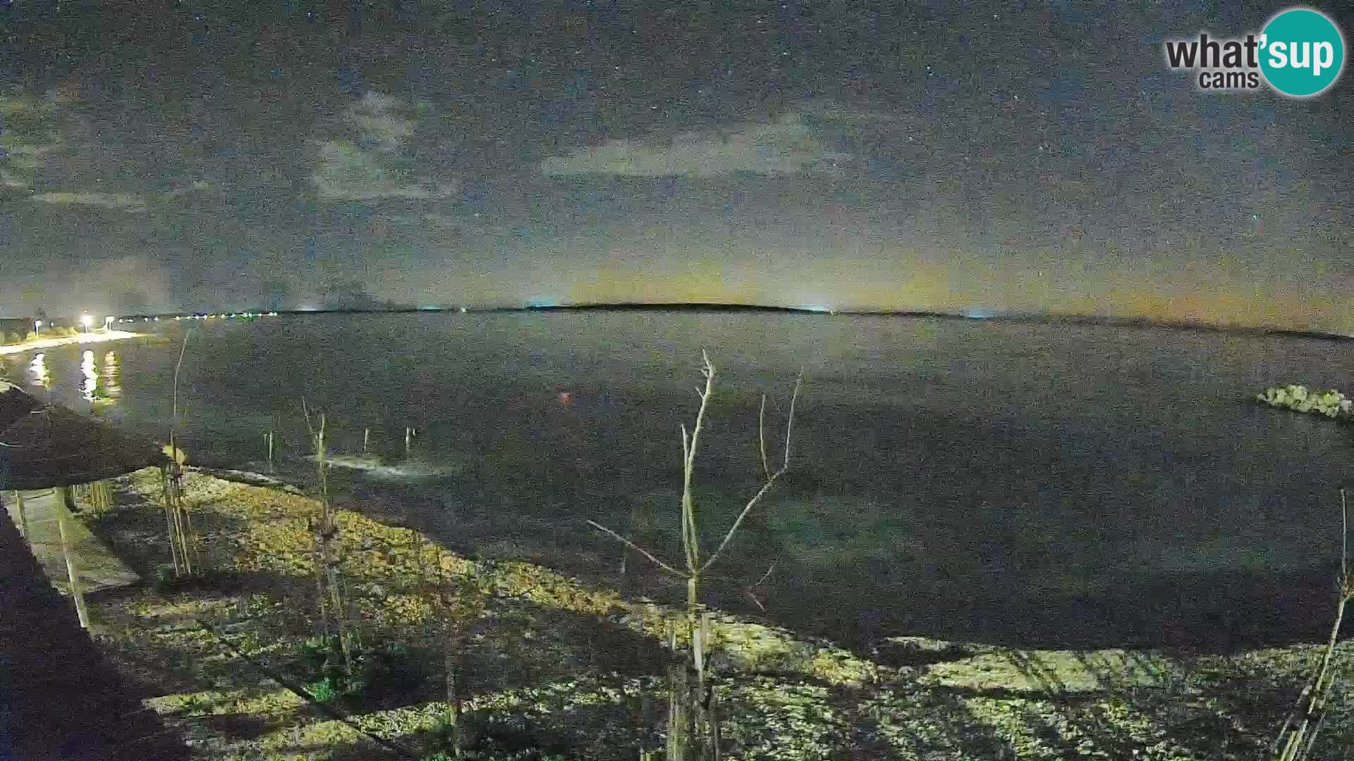 Plage in Gajac – Pag