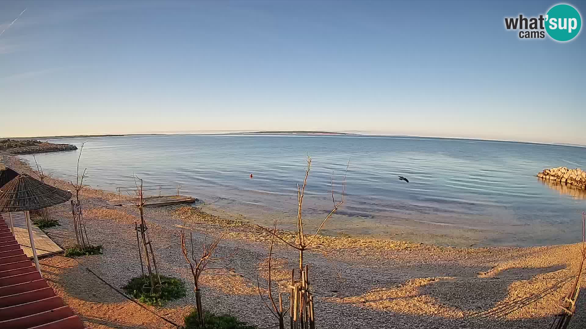 Spletna kamera Plaža Gajac – Pag – Hrvaška