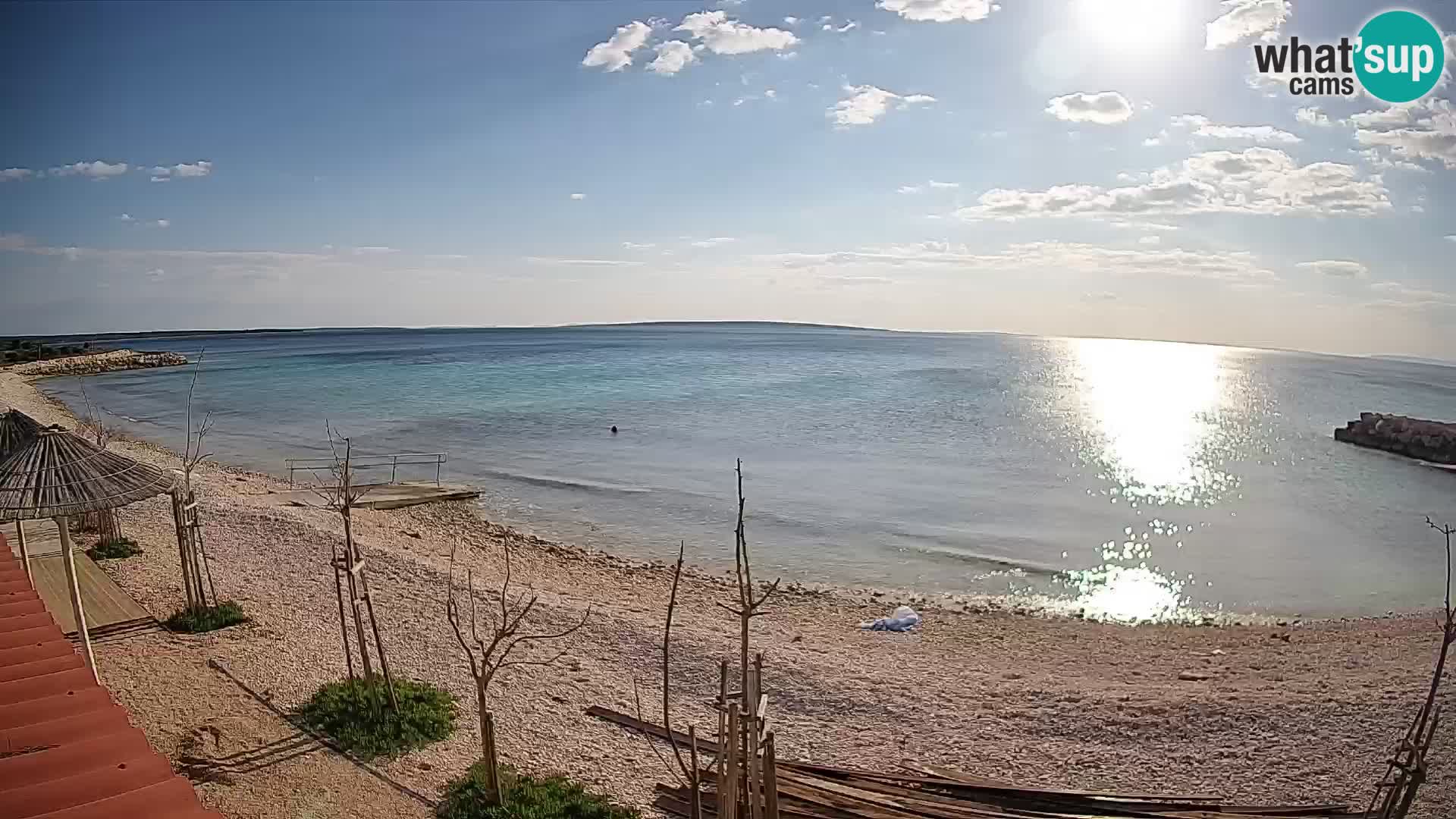 Live Webcam Gajac beach – Pag