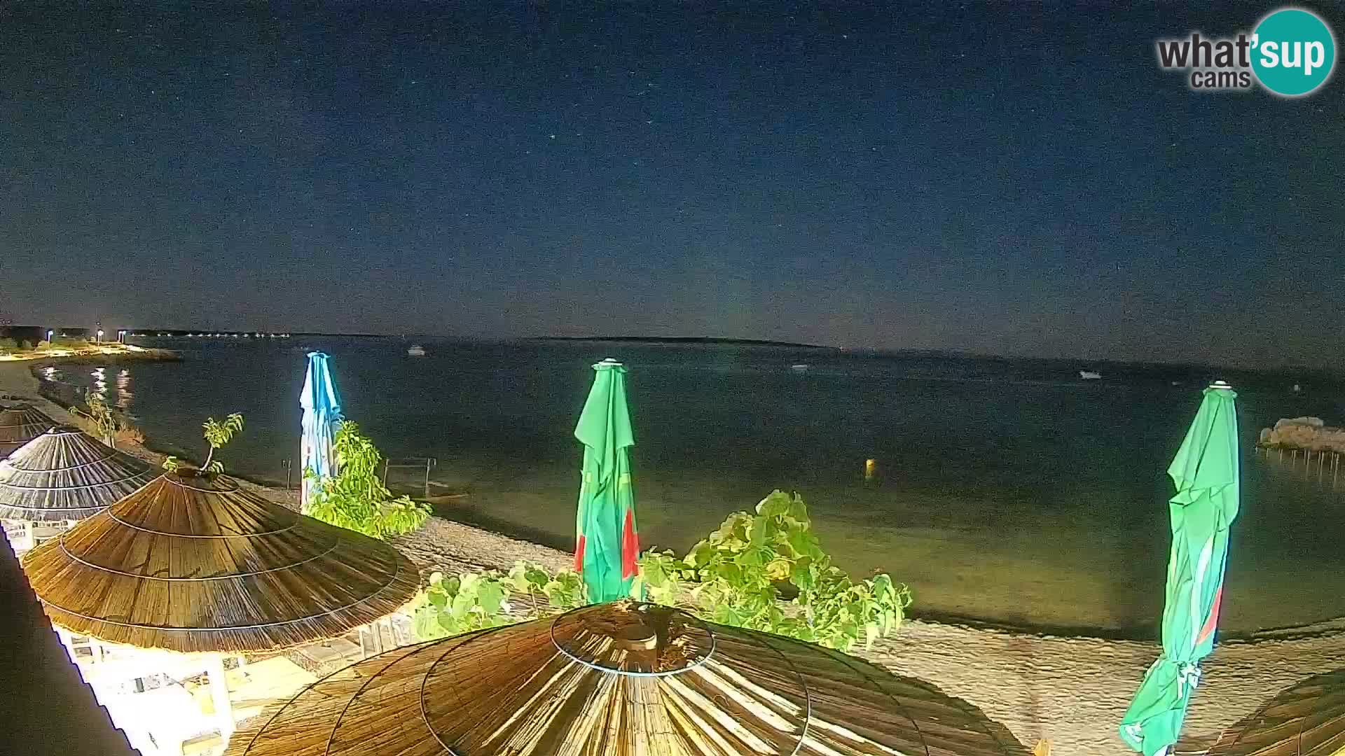 Webcam Strand in Gajac – Pag – Kroatien