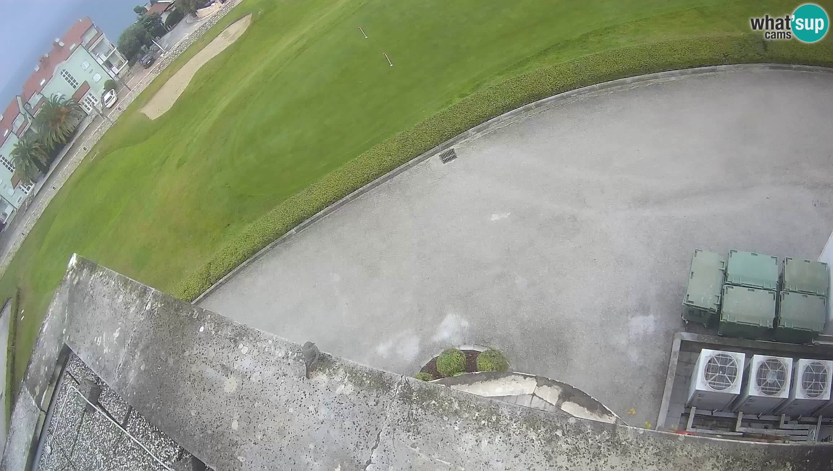 Golf Adriatique Webcam en direct Savudrija – Rezidencija Skiper – Istrie – Croatie