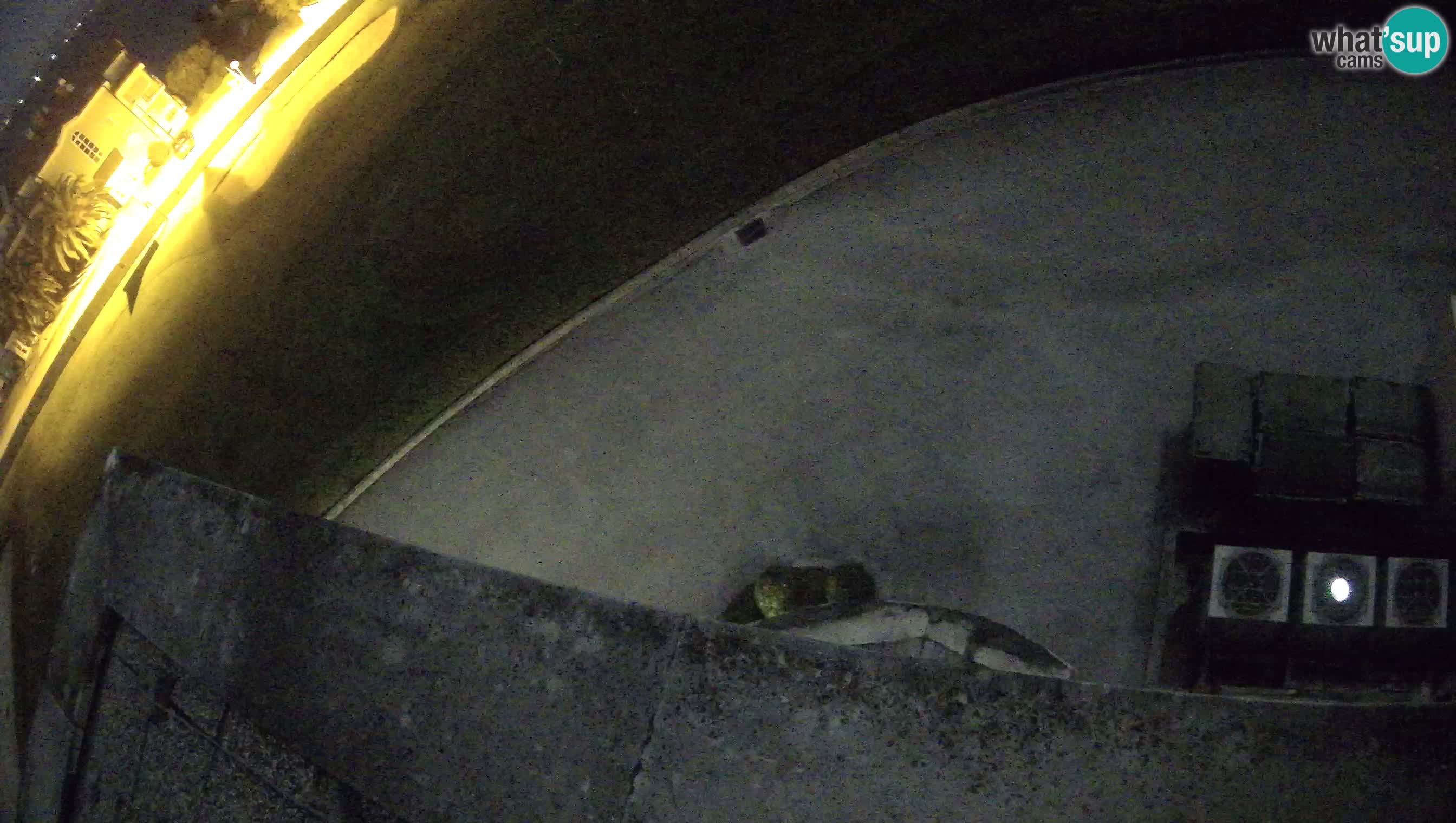 Golf Adria Live Webcam Savudrija – Rezidencija Skiper – Istrien – Kroatien