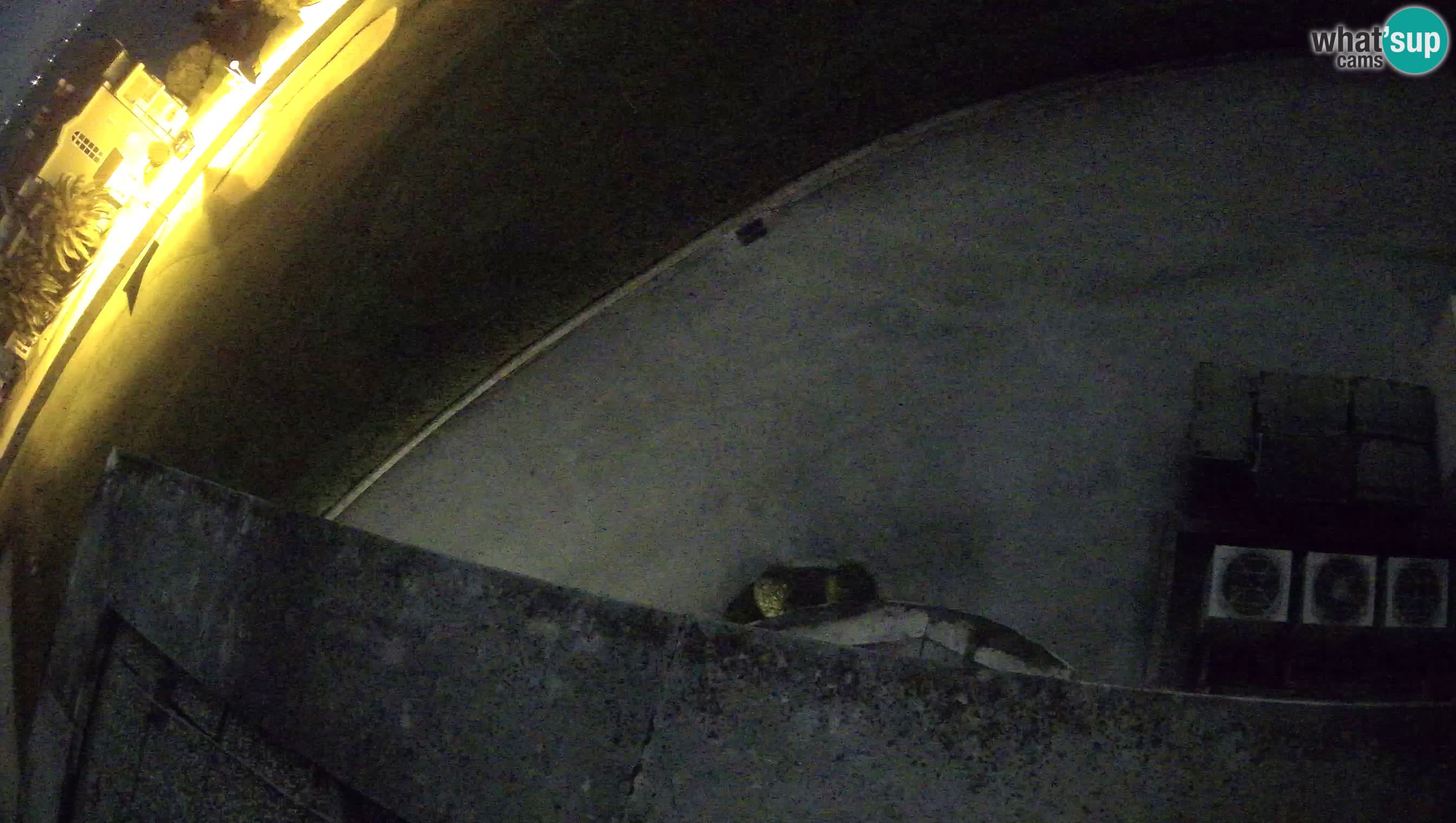 Golf Adriatic Live webcam Savudrija – Rezidencija Skiper – Istria – Croatia