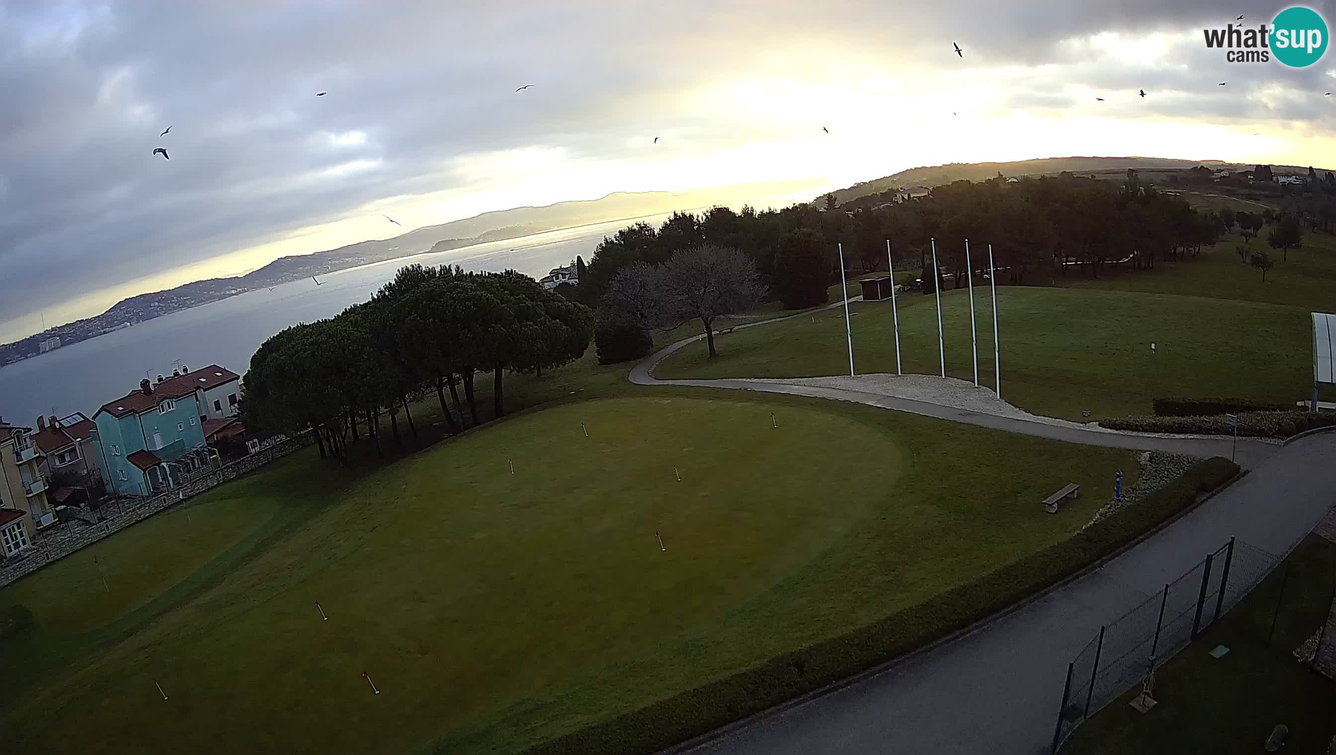 Golf Adriatique Webcam en direct Savudrija – Rezidencija Skiper – Istrie – Croatie