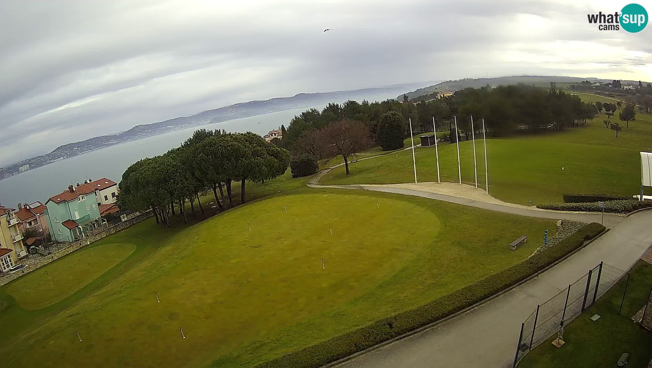 Golf Adria Live Webcam Savudrija – Rezidencija Skiper – Istrien – Kroatien