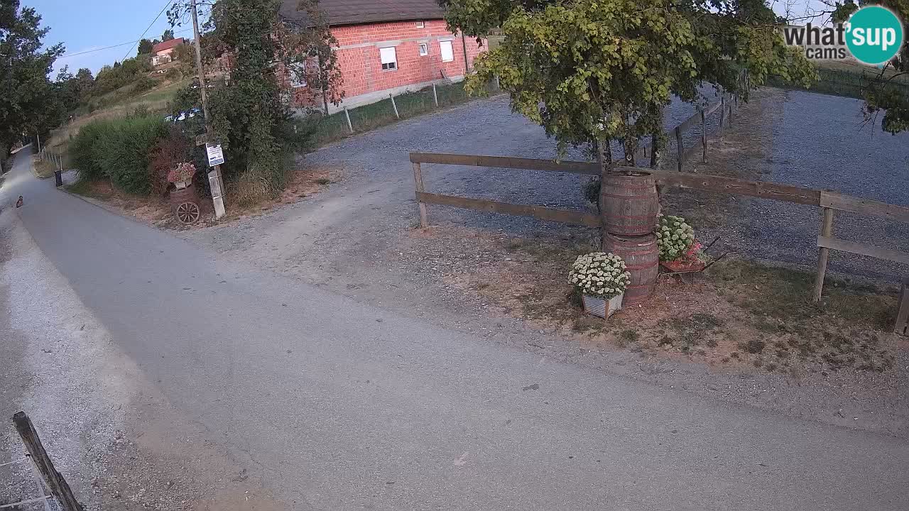Live Webcam Igrane – Panorama of Igrane