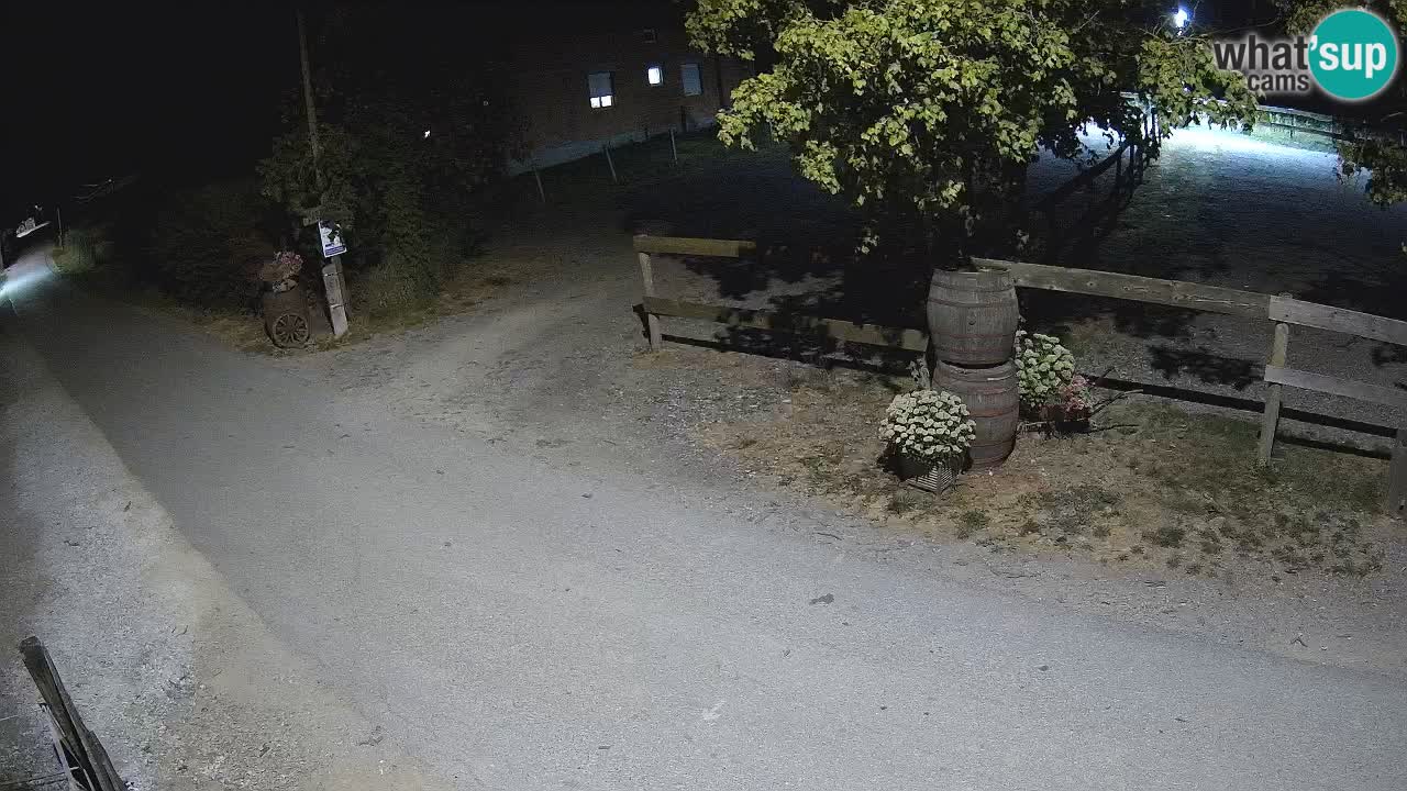Live Webcam Igrane – Panorama di Igrane