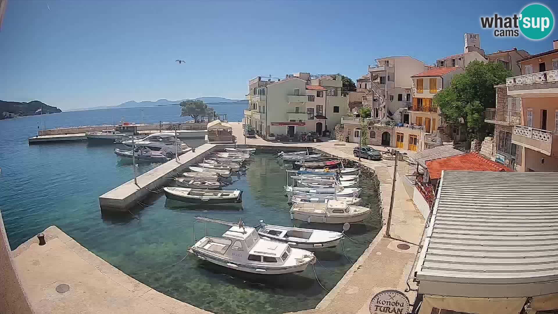 Webcam Igrane – marina