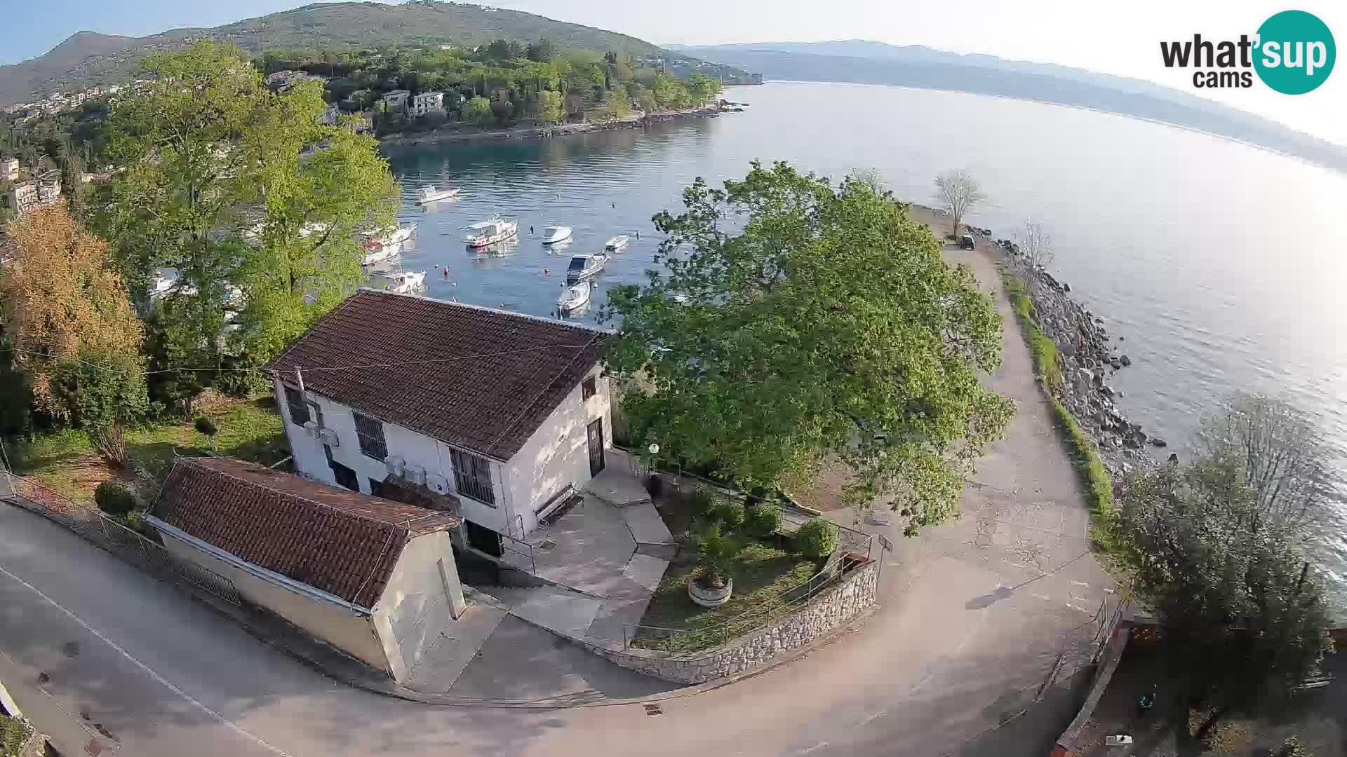 Webcam puerto de Ika – Vista en directo y luces de Opatija