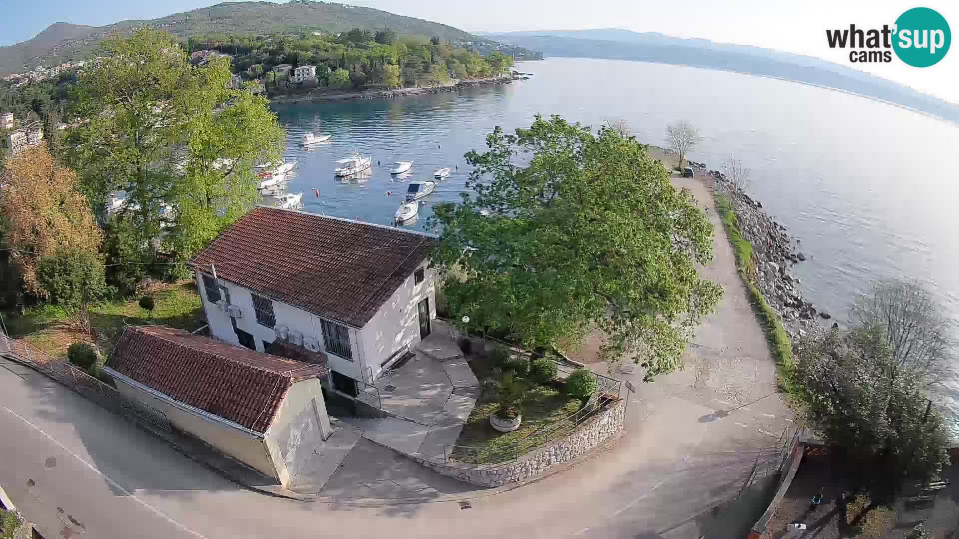 Webcam puerto de Ika – Vista en directo y luces de Opatija