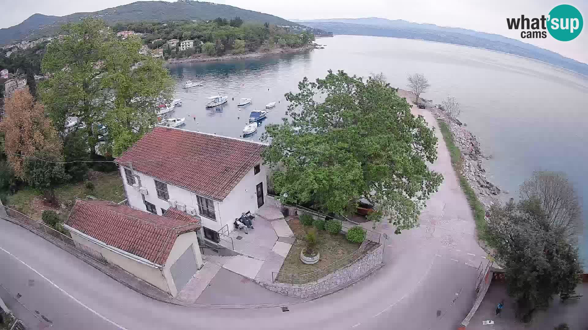 Webcam puerto de Ika – Vista en directo y luces de Opatija