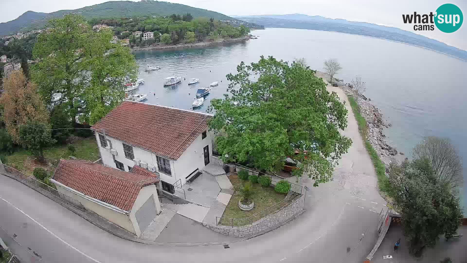 Ika Harbor Webcam – LIVE View of the Harbor and Opatija Lights