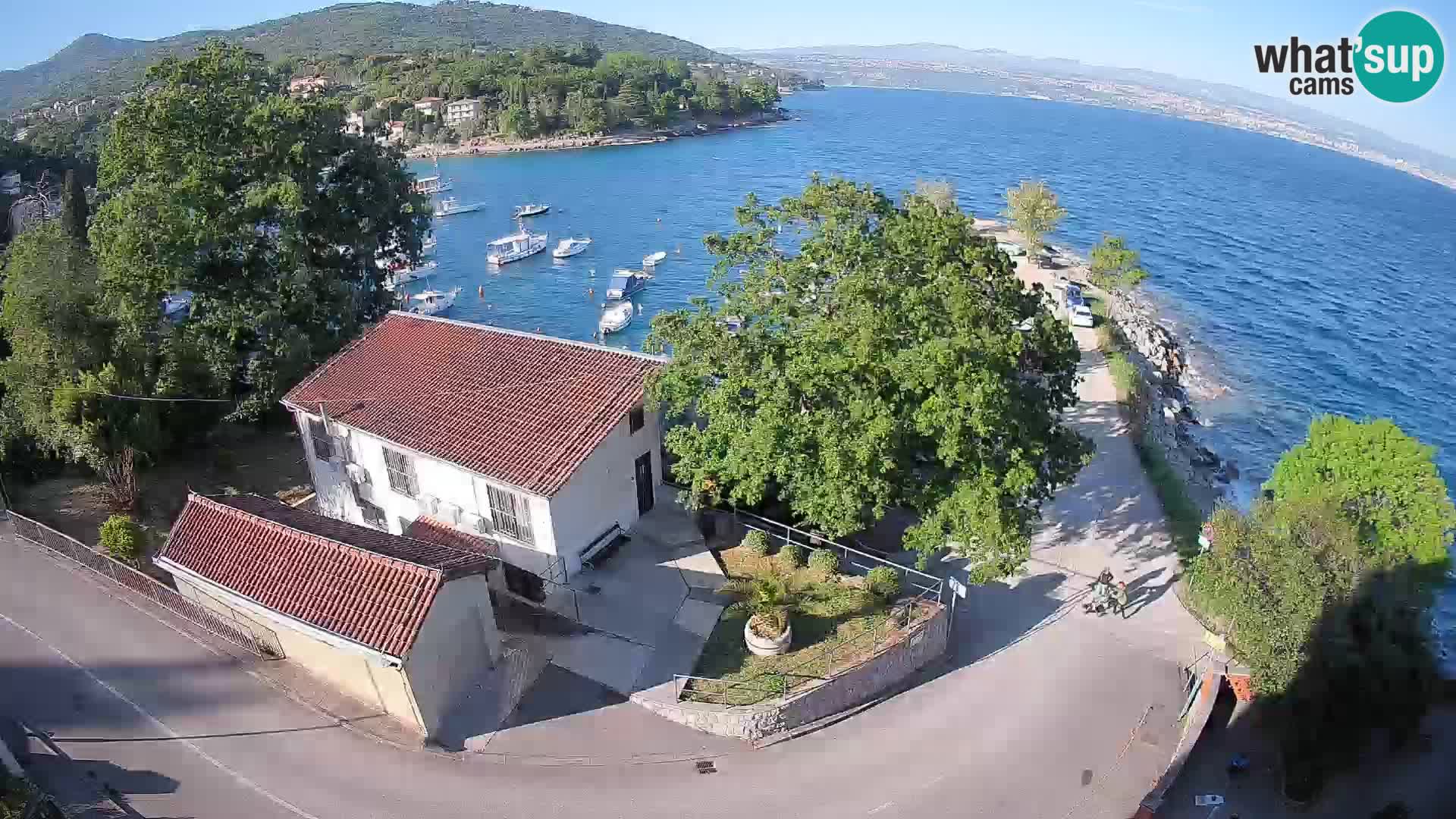 Webcam puerto de Ika – Vista en directo y luces de Opatija