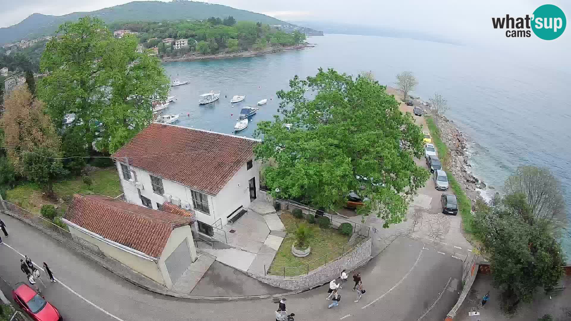 Webcam puerto de Ika – Vista en directo y luces de Opatija