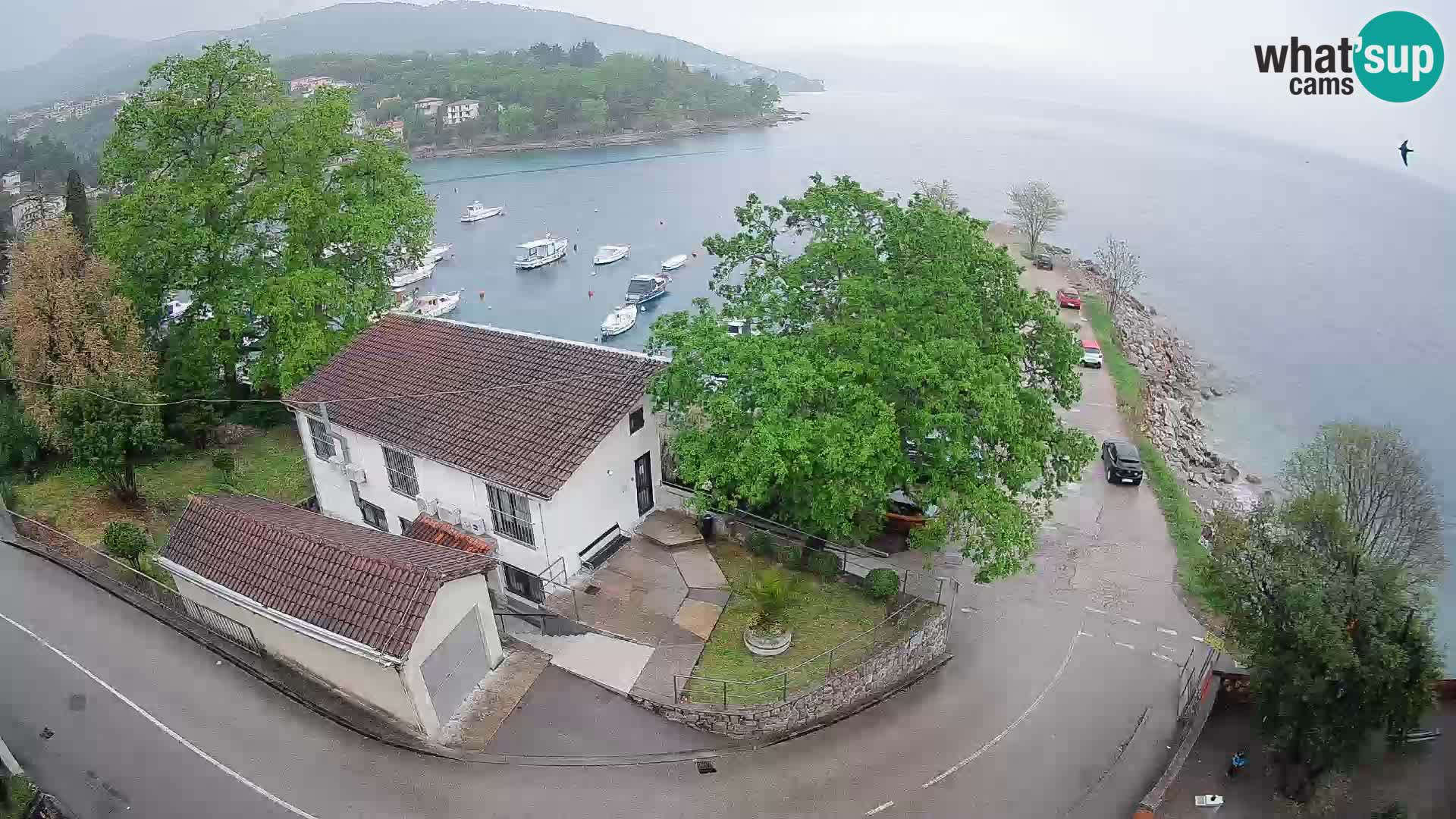 Ika Harbor Webcam – LIVE View of the Harbor and Opatija Lights