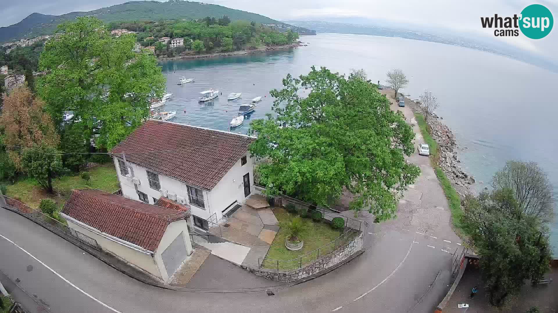 Webcam puerto de Ika – Vista en directo y luces de Opatija