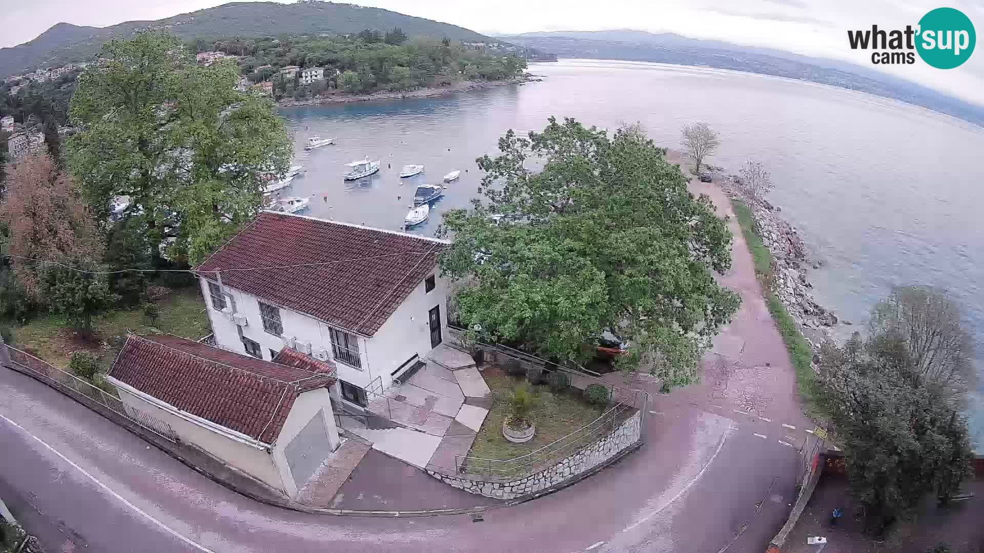 Webcam puerto de Ika – Vista en directo y luces de Opatija