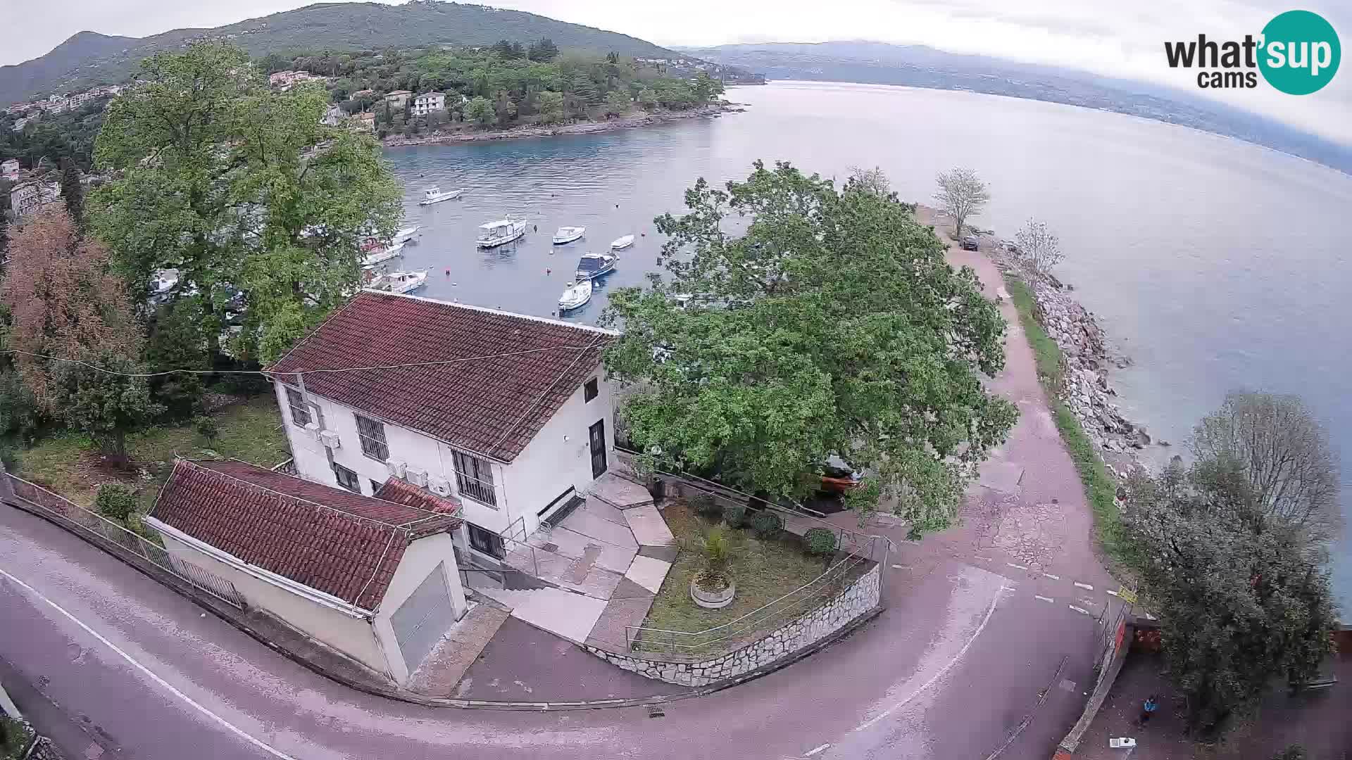 Webcam puerto de Ika – Vista en directo y luces de Opatija