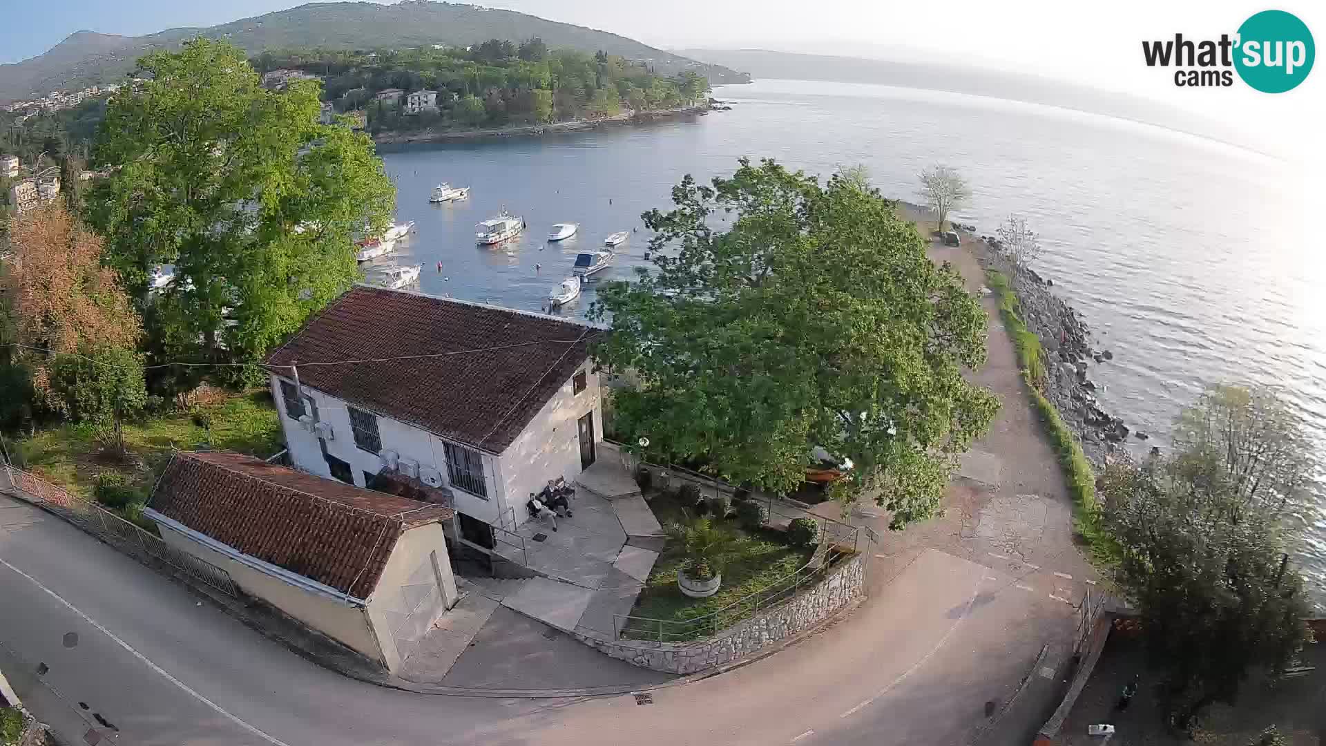 Webcam puerto de Ika – Vista en directo y luces de Opatija