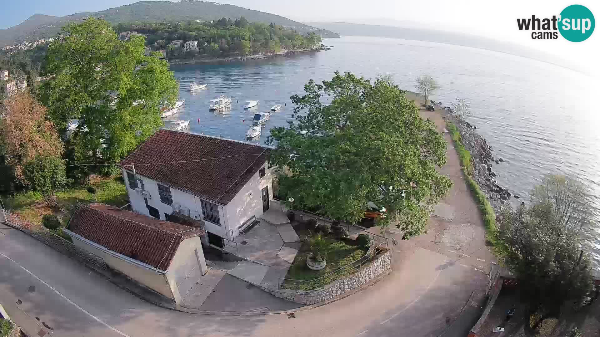 Ika Harbor Webcam – LIVE View of the Harbor and Opatija Lights