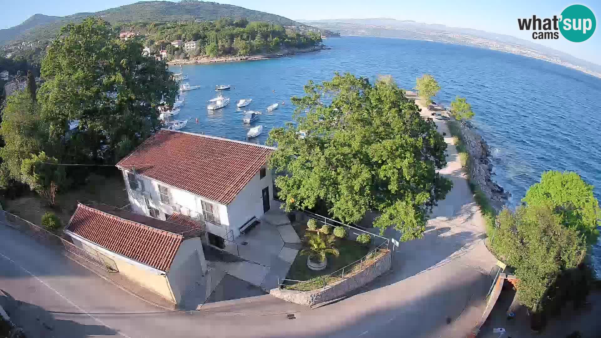 Webcam puerto de Ika – Vista en directo y luces de Opatija