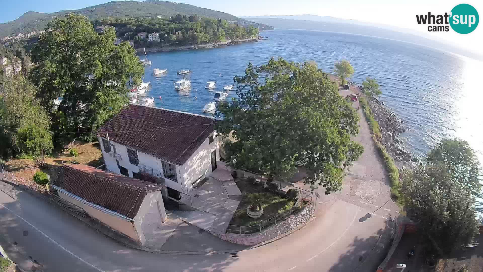 Webcam puerto de Ika – Vista en directo y luces de Opatija