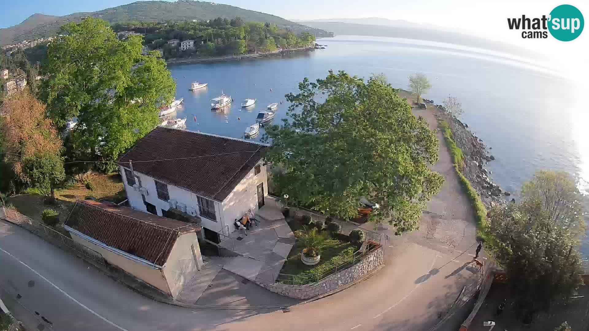 Ika Harbor Webcam – LIVE View of the Harbor and Opatija Lights