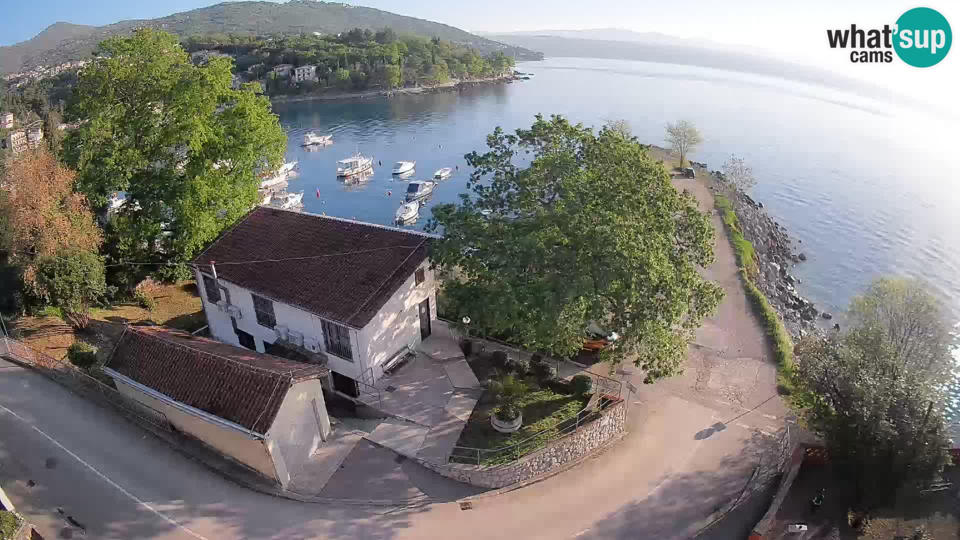 Webcam puerto de Ika – Vista en directo y luces de Opatija