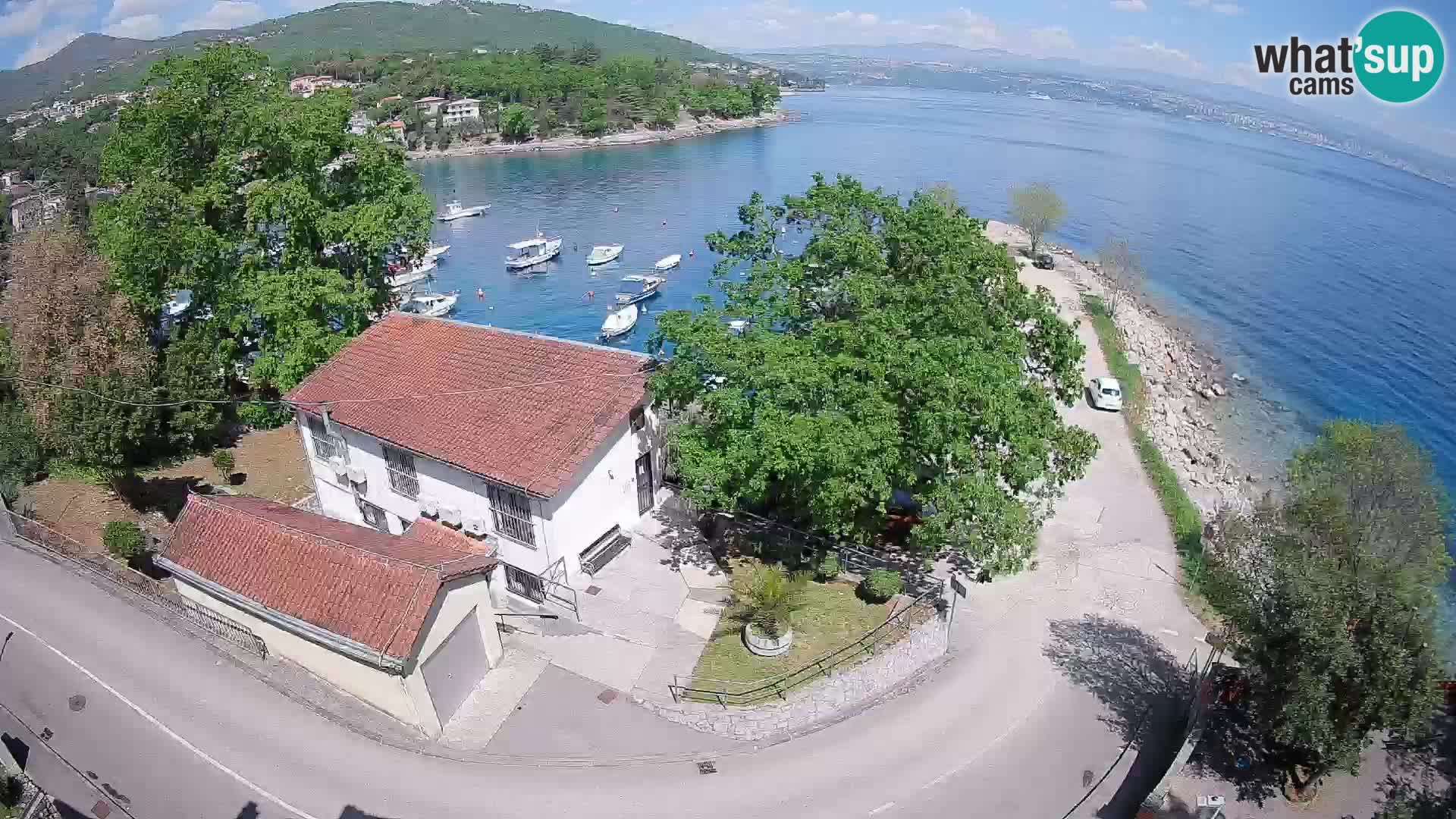 Webcam puerto de Ika – Vista en directo y luces de Opatija