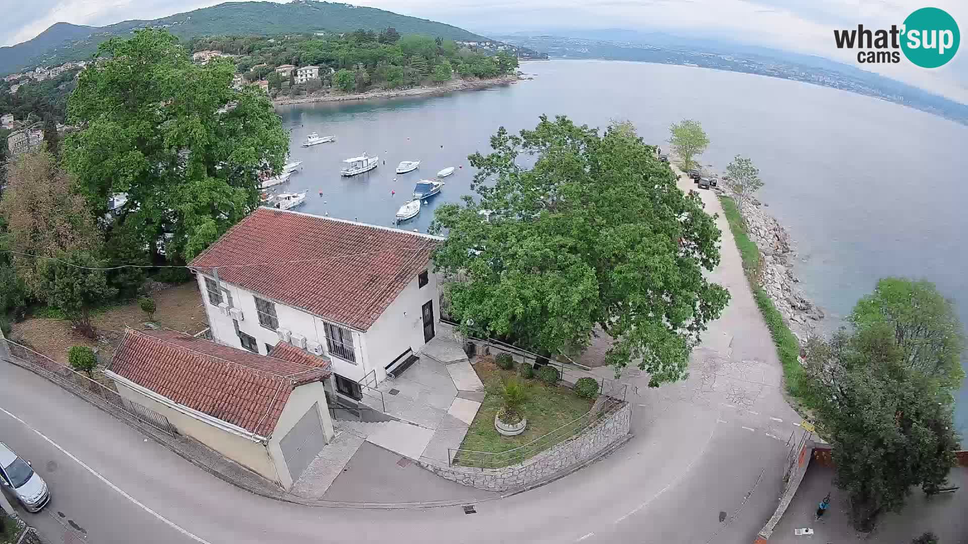 Webcam puerto de Ika – Vista en directo y luces de Opatija
