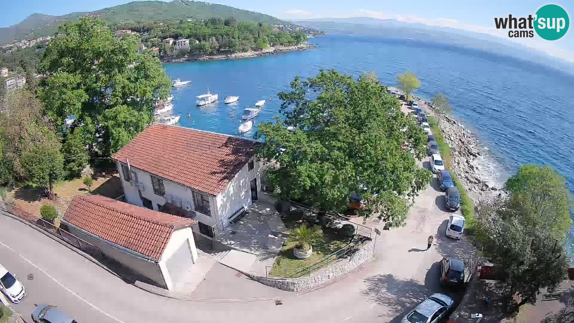 Web kamera luka Ika – Pogled uživo na luku i svjetla Opatije