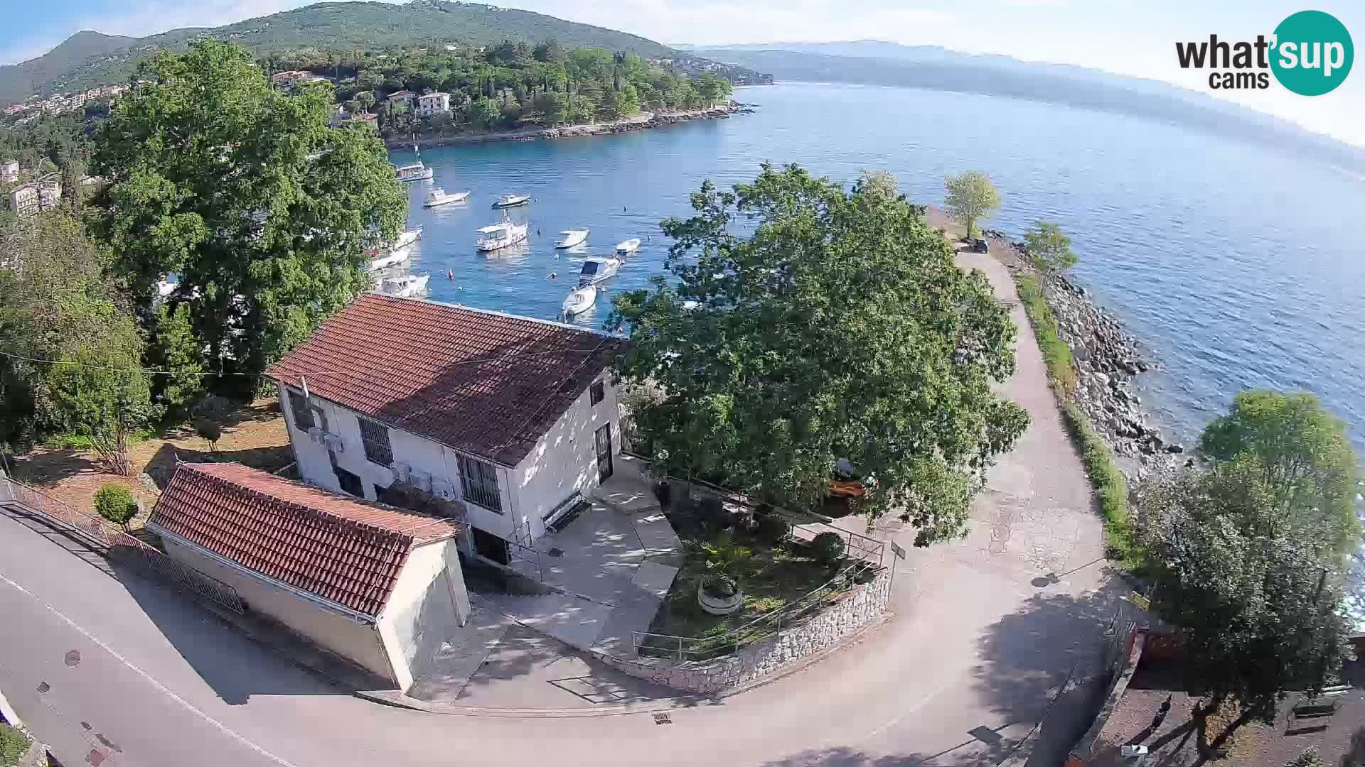 Ika Harbor Webcam – LIVE View of the Harbor and Opatija Lights