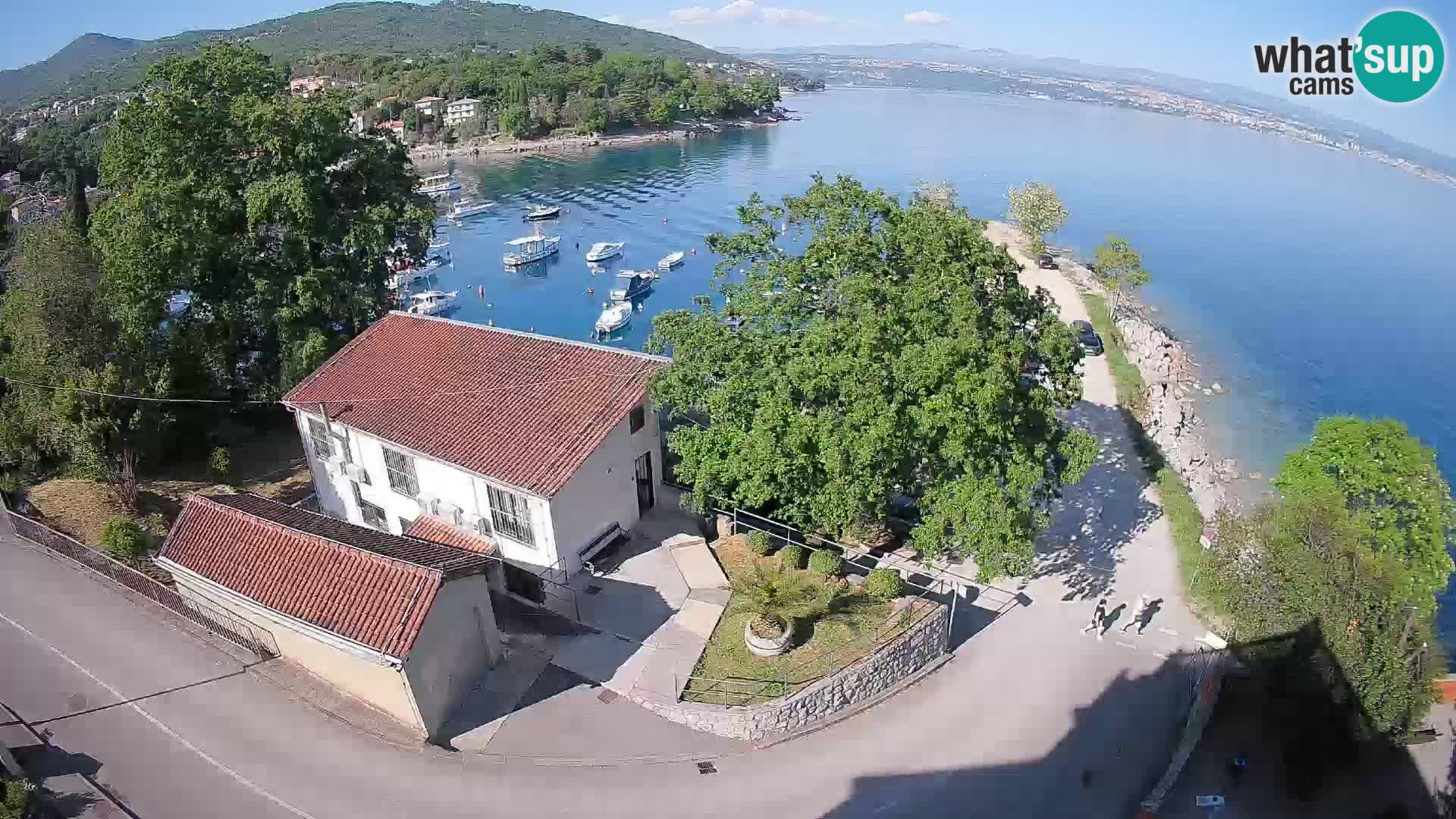 Spletna kamera pristanišče Ika – Pogled v živo na pristanišče in luči Opatije