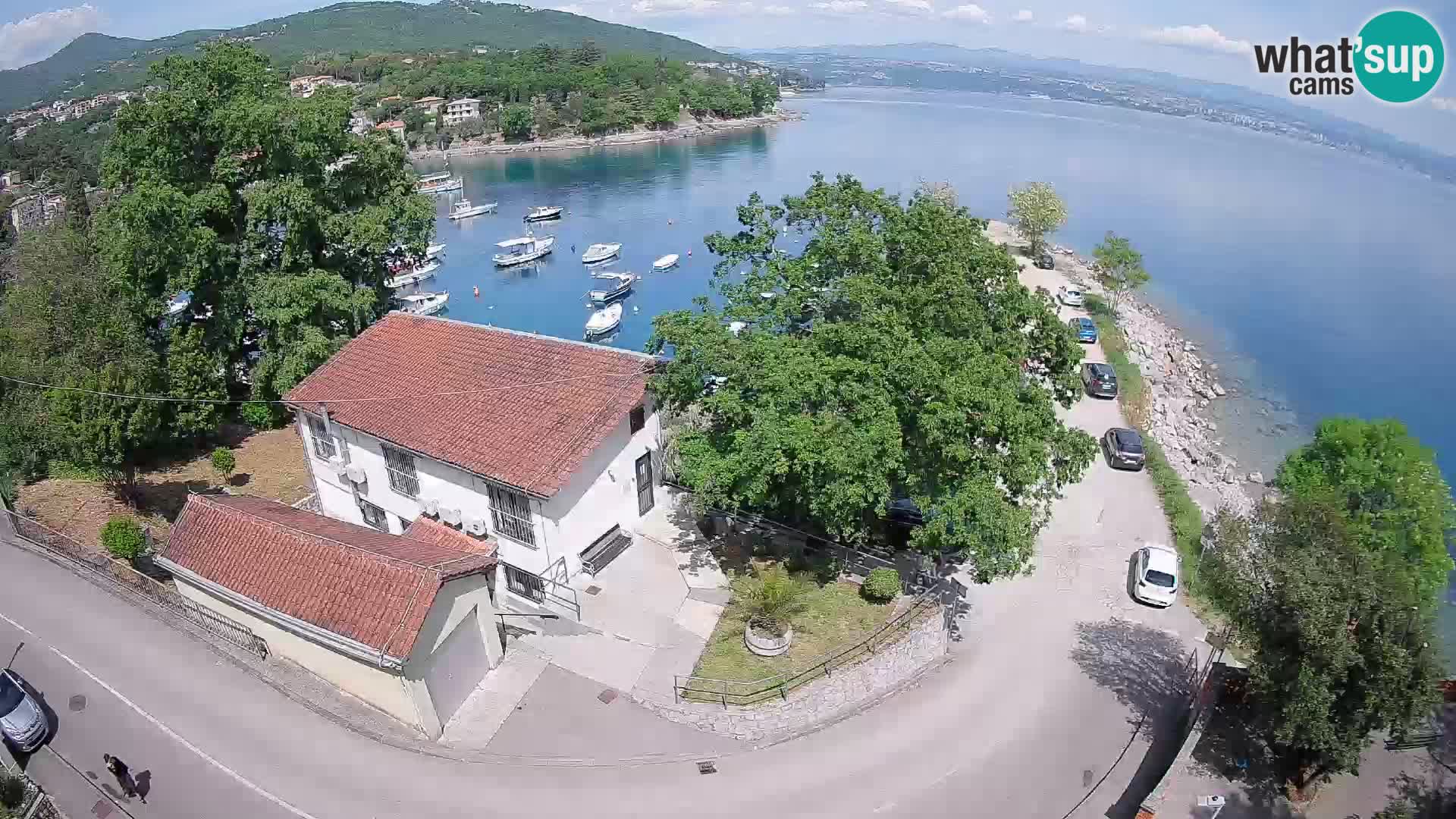 Webcam puerto de Ika – Vista en directo y luces de Opatija