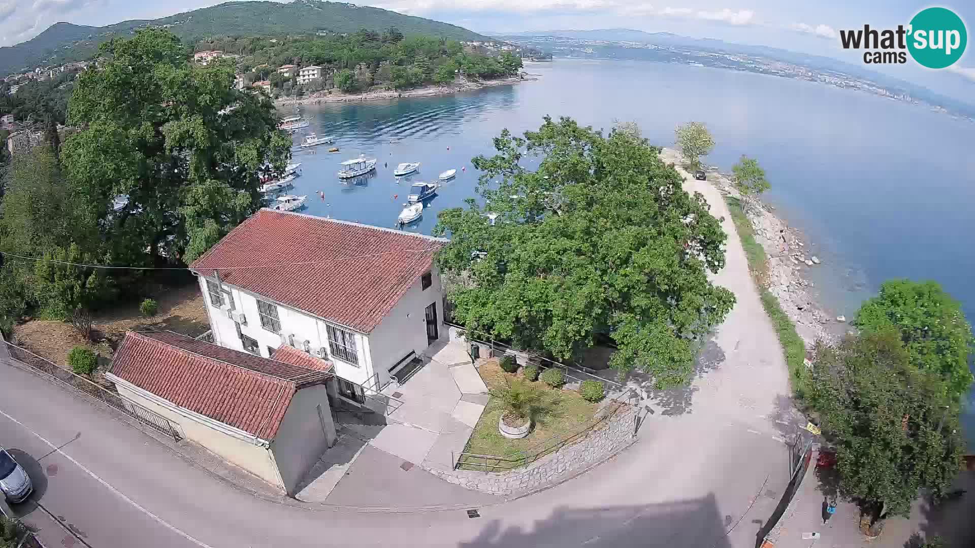 Webcam puerto de Ika – Vista en directo y luces de Opatija