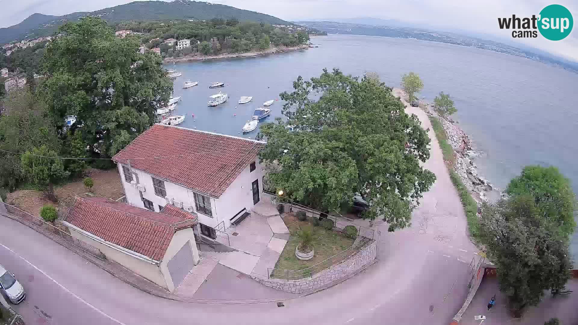 Webcam puerto de Ika – Vista en directo y luces de Opatija