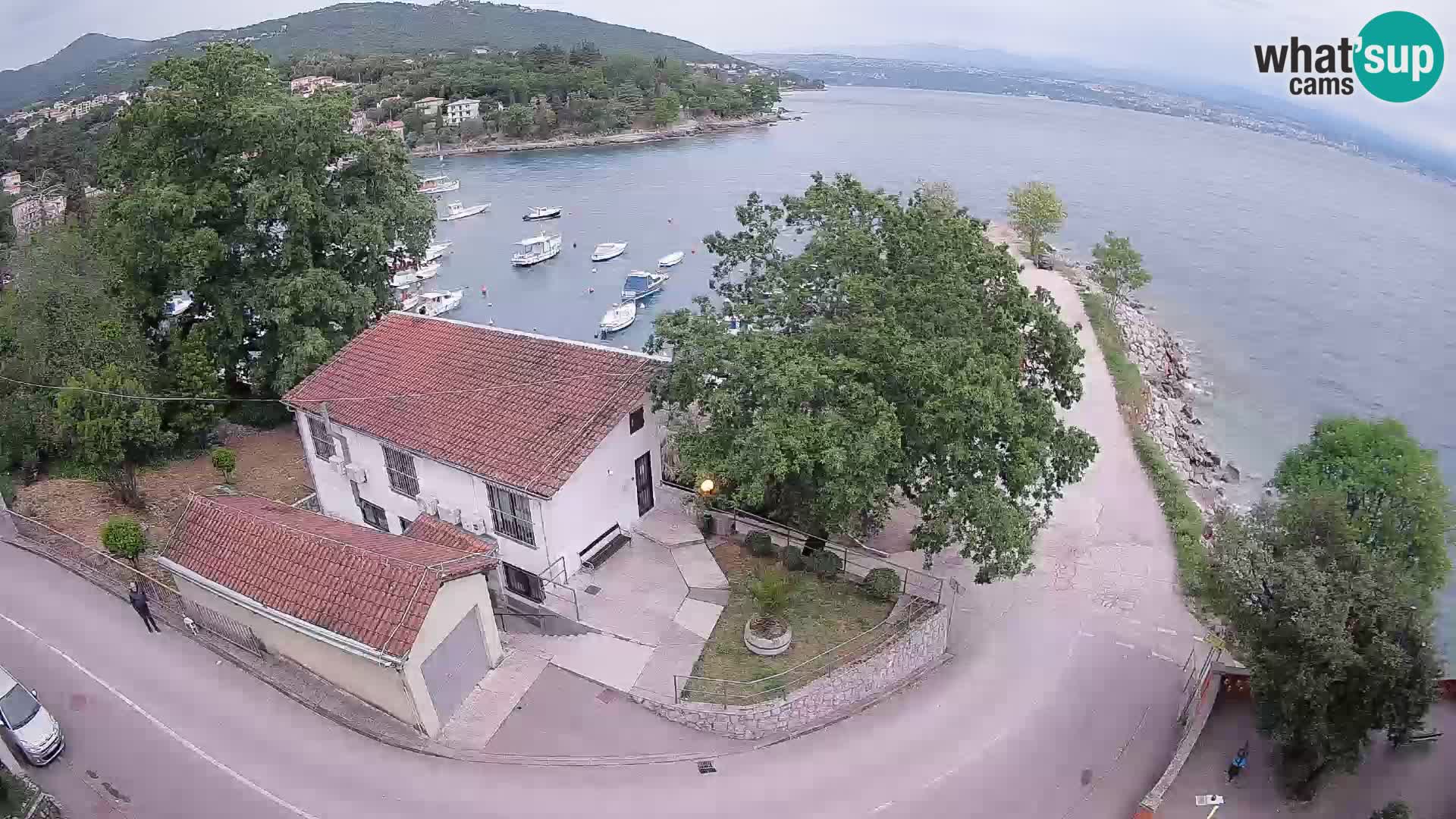 Webcam puerto de Ika – Vista en directo y luces de Opatija