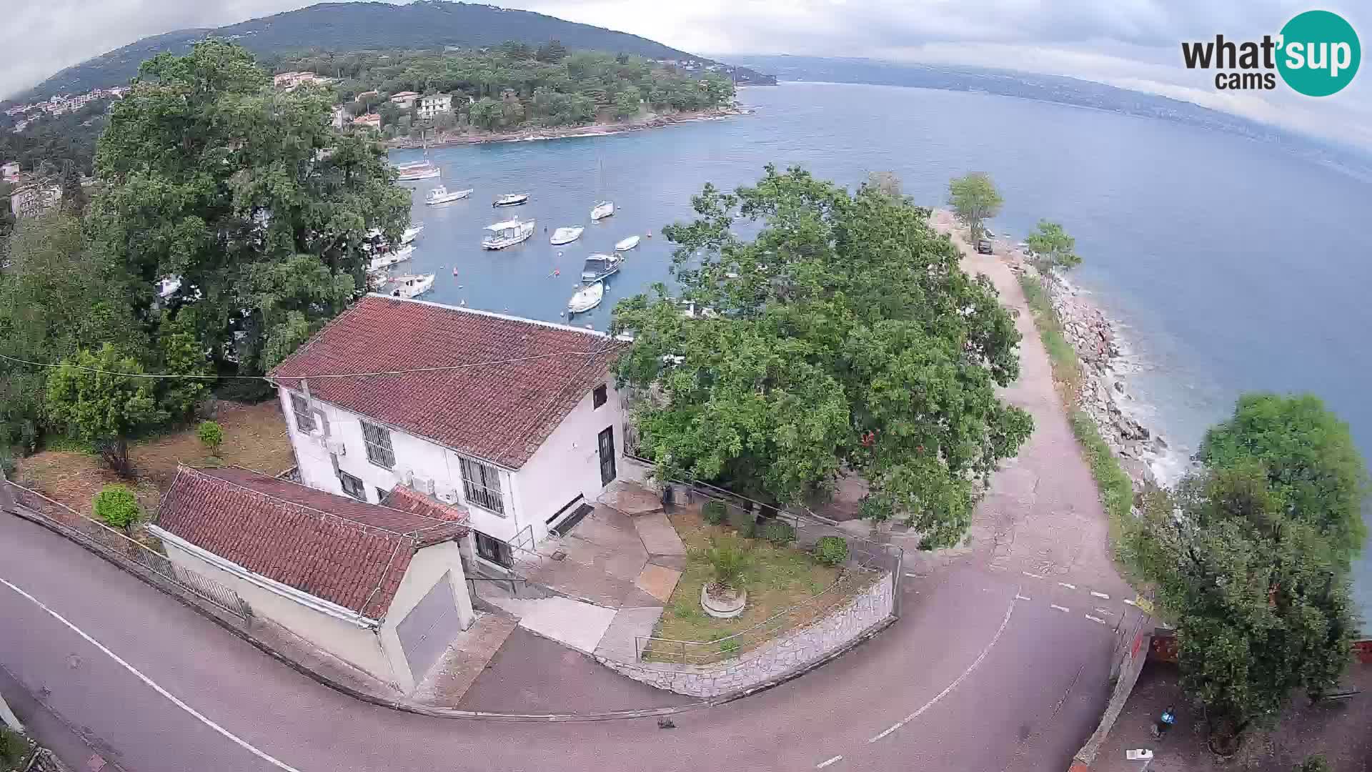Ika Harbor Webcam – LIVE View of the Harbor and Opatija Lights