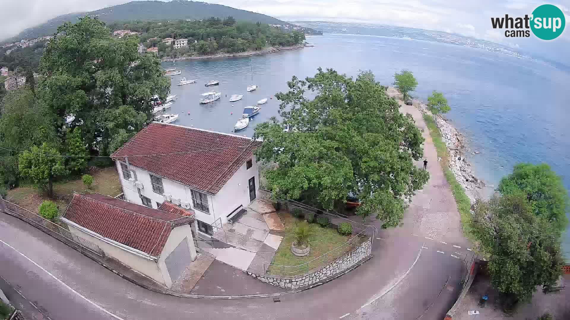 Webcam puerto de Ika – Vista en directo y luces de Opatija