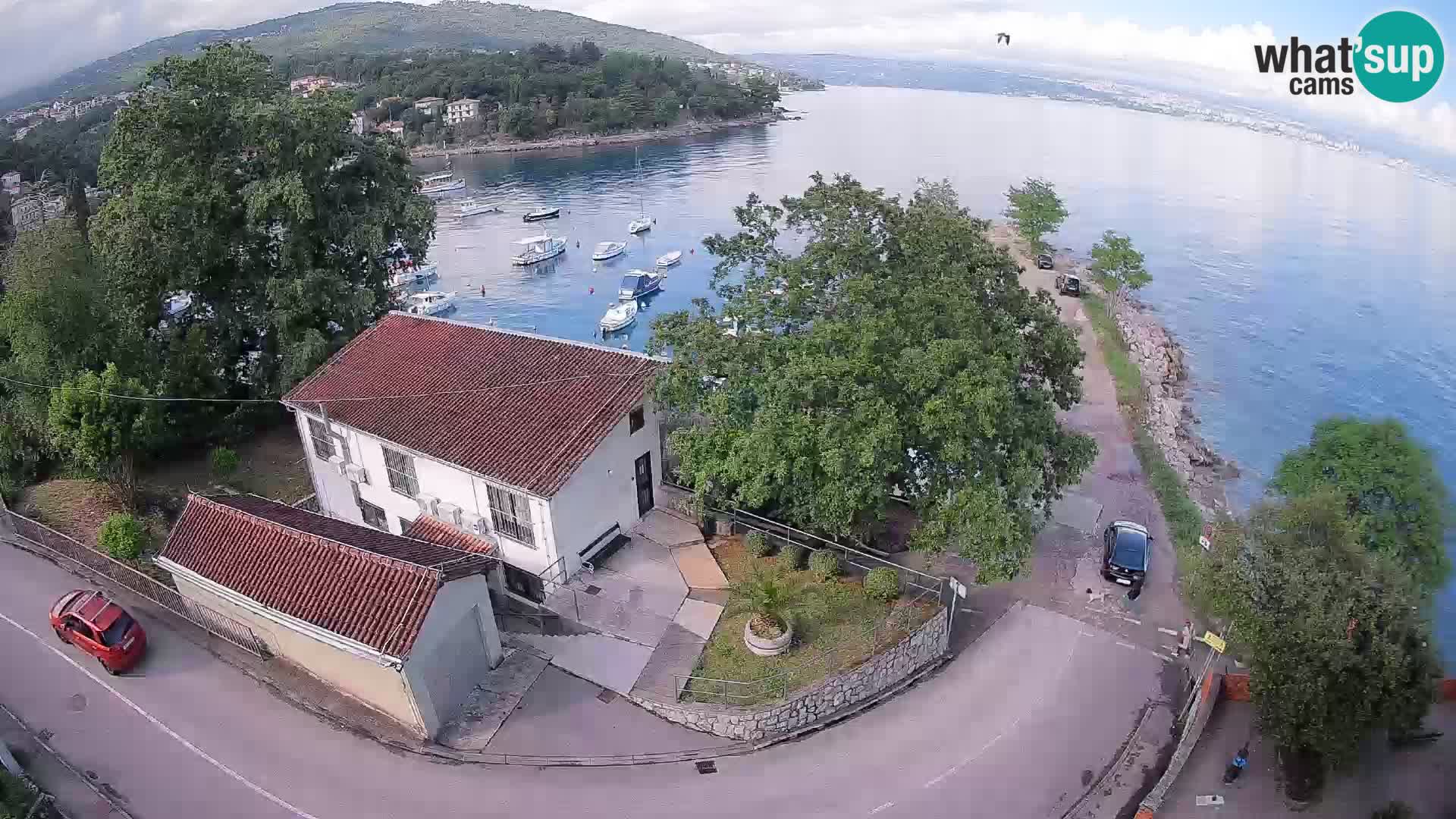 Ika Harbor Webcam – LIVE View of the Harbor and Opatija Lights