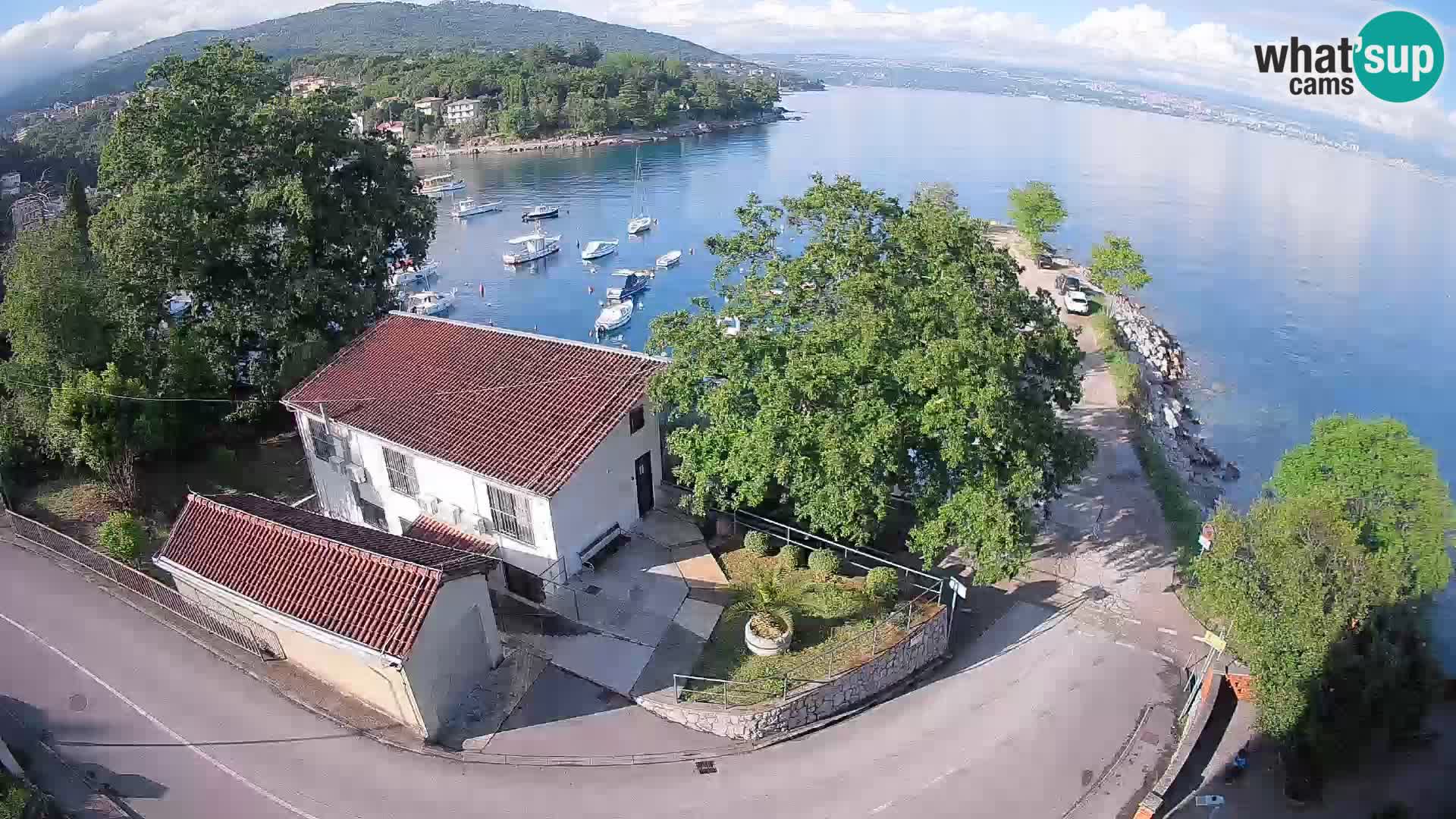 Ika Harbor Webcam – LIVE View of the Harbor and Opatija Lights
