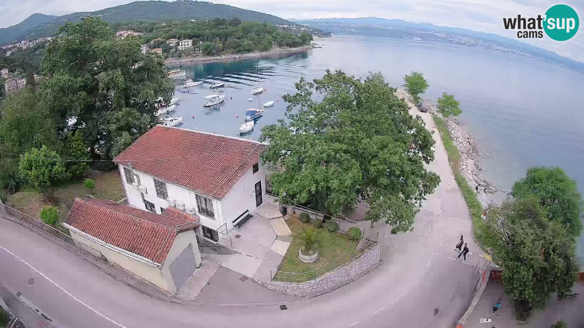 Webcam puerto de Ika – Vista en directo y luces de Opatija