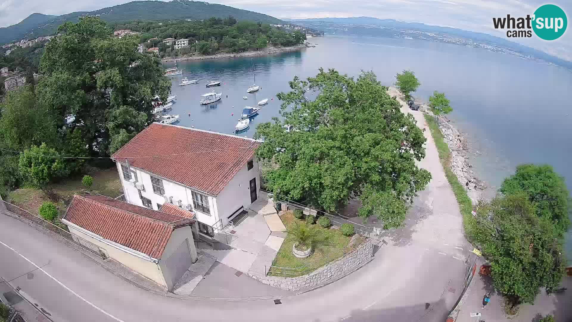 Webcam puerto de Ika – Vista en directo y luces de Opatija