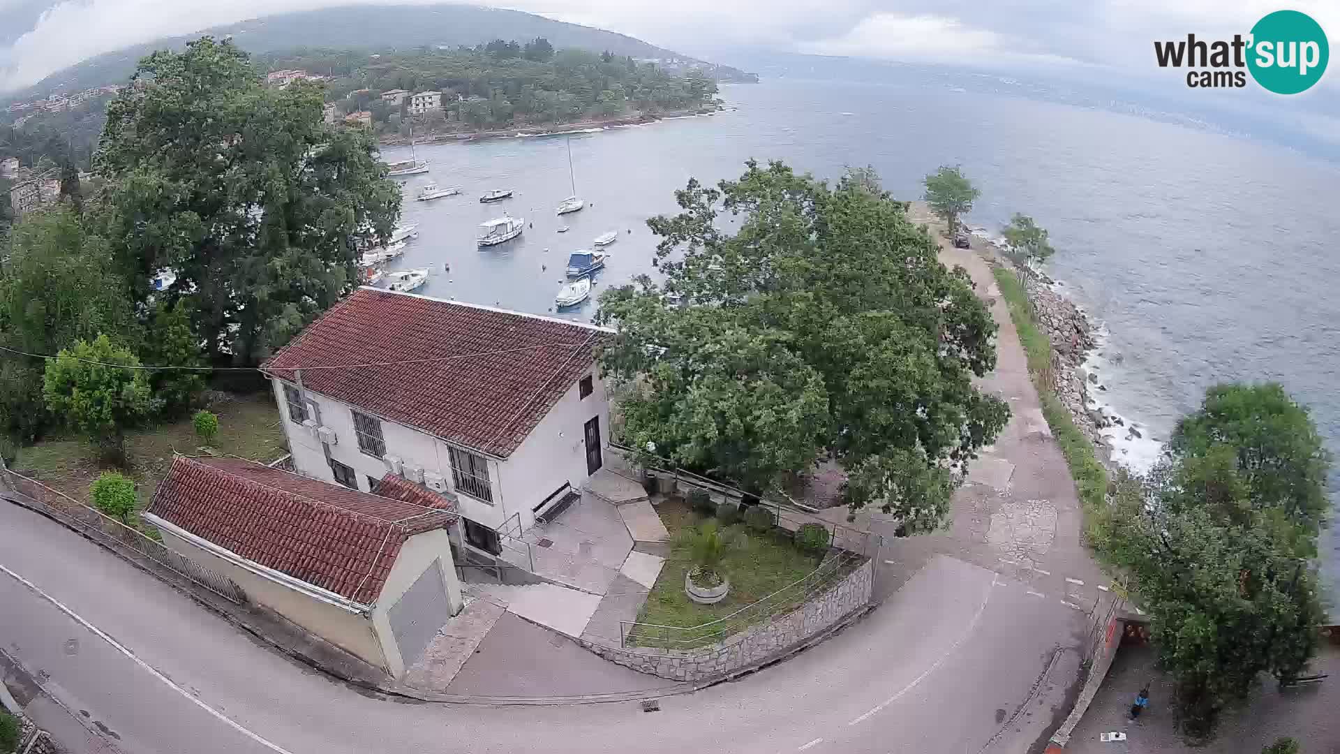Ika Harbor Webcam – LIVE View of the Harbor and Opatija Lights
