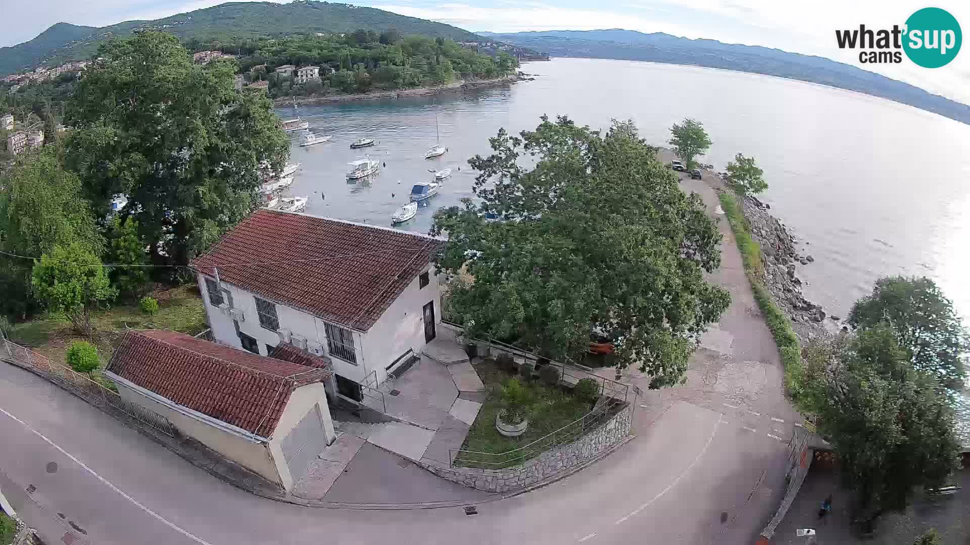 Ika Harbor Webcam – LIVE View of the Harbor and Opatija Lights