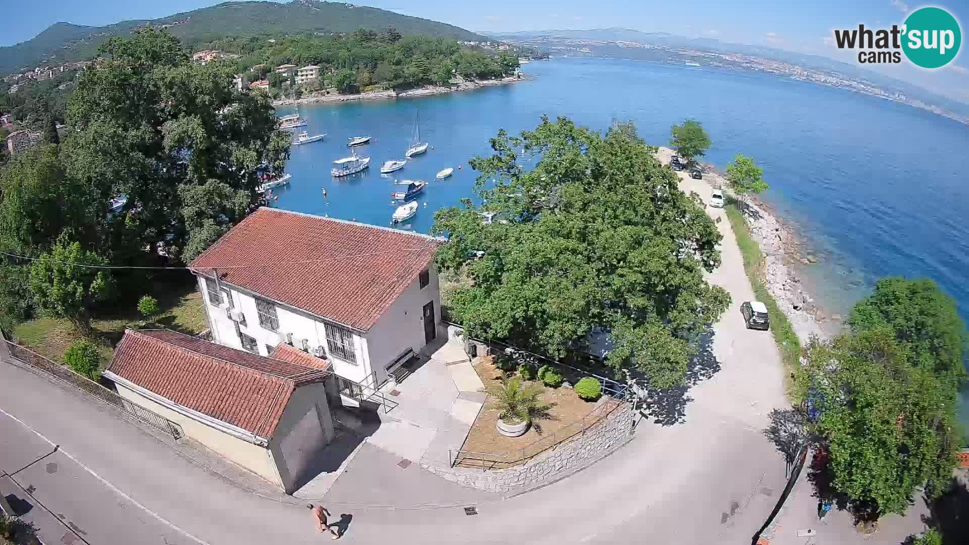 Ika Harbor Webcam – LIVE View of the Harbor and Opatija Lights